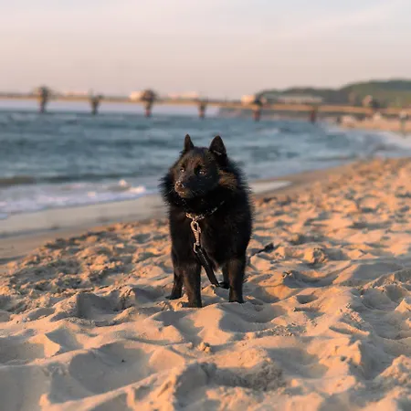 Bel Mare Aqua Aparthotel Miedzyzdroje