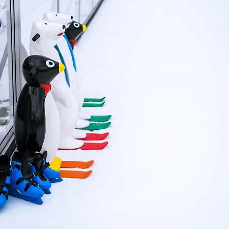 Aparthotel Bel Mare Aqua