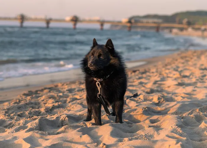 Bel Mare Aqua Hotel apartamentowy Międzyzdroje